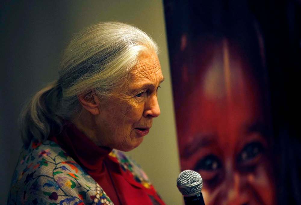 PHIL HOSSACK / WINNIPEG FREE PRESS
Dr. Jane Goodall speaks at a workshop for school kids Thursday afternoon.