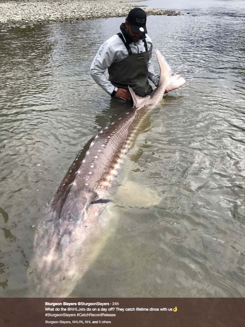 STURGEON SLAYERS / TWITTER
Byfuglien with his catch in a photo tweeted out October 10, 2017 by Sturgeon Slayers, a B.C. fishing guide.