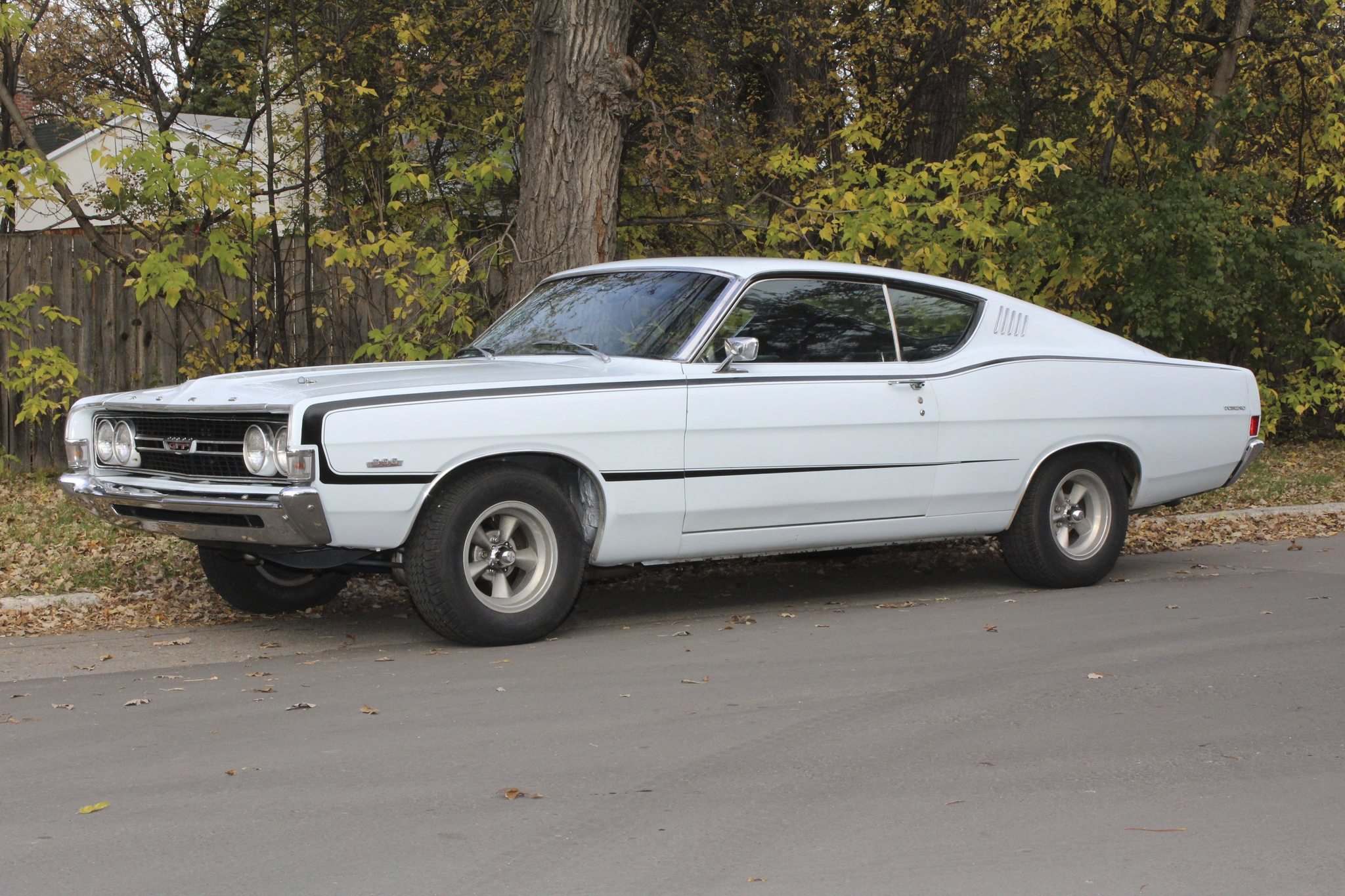 Torino a lucky find – Winnipeg Free Press