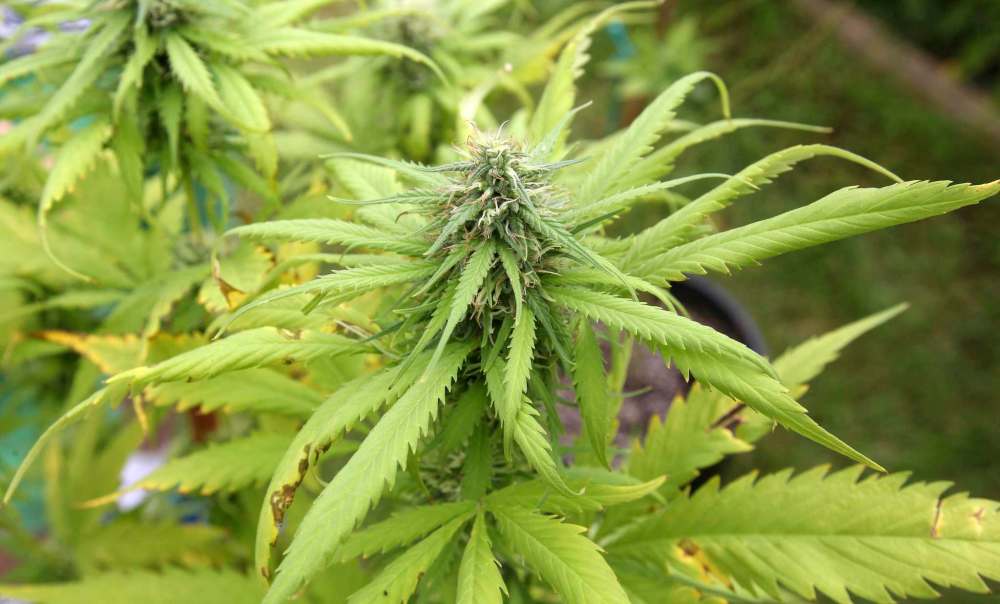 JOE BRYKSA / WINNIPEG FREE PRESS FILES