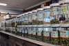 Jars of medical marijuana on display on the counter of a marijuana dispensary in California. Manitoba municipalities will be able to restrict or prohibit the sale of marijuana, provincial officials say.  (Richard Vogel / The Associated Press files)