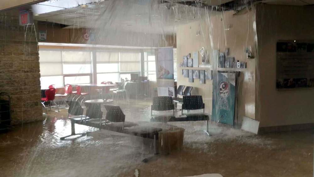 SUPPLIED
Photo from video of the Winnipeg Humane Society flood triggered by a burst water pipe Monday.