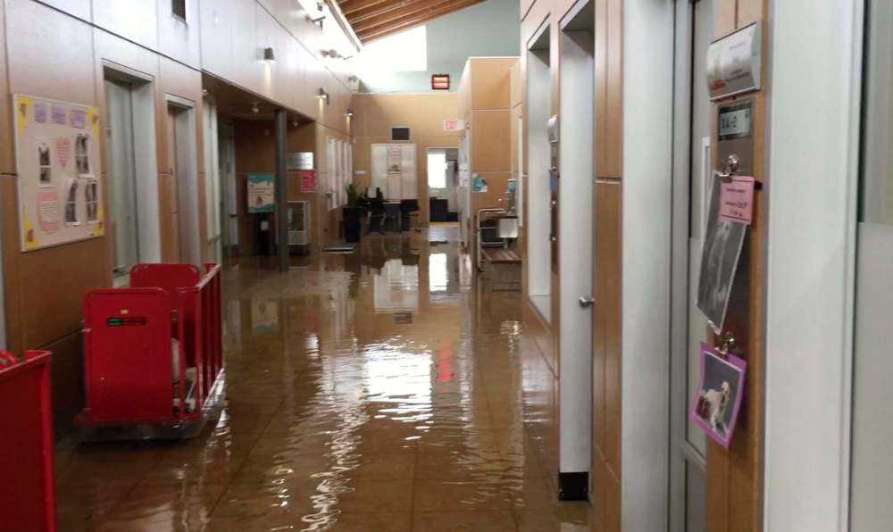 SUPPLIED Photo from video of the Winnipeg Humane Society flood triggered by a burst water pipe Monday.