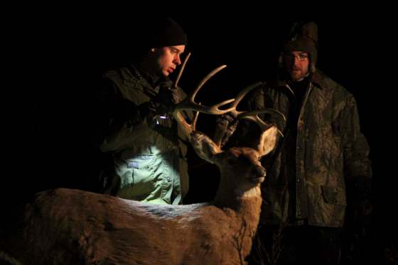 RYAN THORPE / WINNIPEG FREE PRESSConservation officers Ian Van Nest and Dawson Keen remove a mechanical deer decoy from the bush at the end of their operation to nab illegal night hunters.