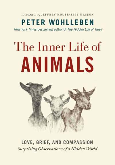 The Inner Life of Animals explores animals' behaviour, which suggests lower mammals have the capacity to feel things, such as pain.