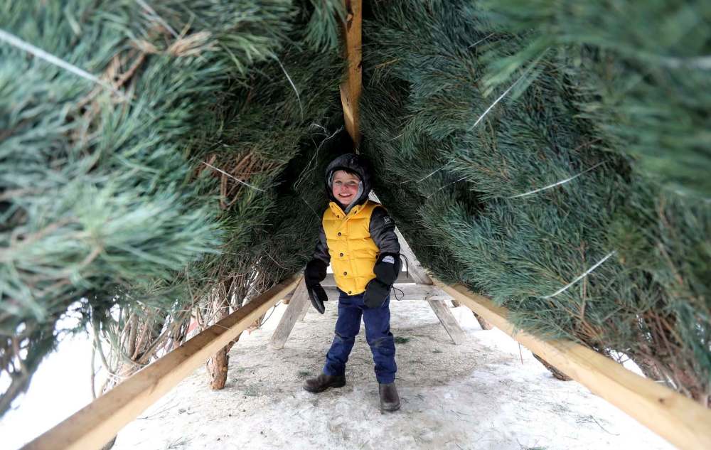 TREVOR HAGAN / WINNIPEG FREE PRESS
Edwin Tokaruk, 3, needs a place to hide from shopping for Christmas trees Sunday.