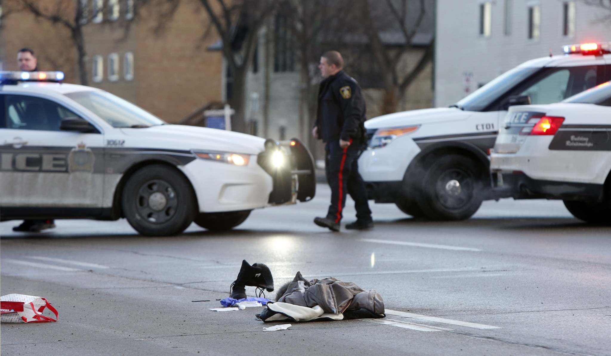 Police seek witnesses in crash that killed elderly pedestrian ...