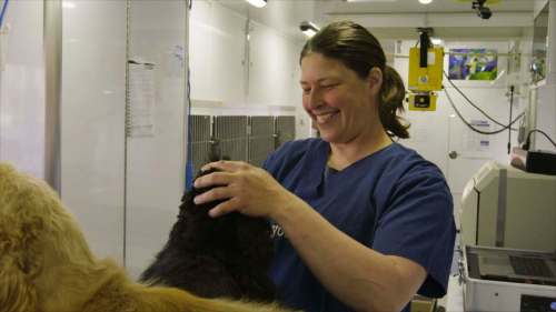 SUPPLIED
Veterinarian Dr. Keri Hudson Reykdal, the star of Dr. Keri: Prairie Vet, at her veterinary clinic in Ashern.