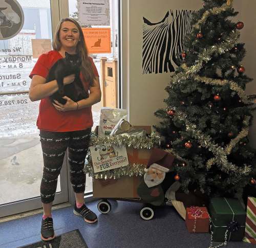 SUPPLIED
Kiersten Tuttosi, with Tabitha the cat at Wheat City Veterinary Clinic in Brandon. The Manitoba Veterinary Medical Association&rsquo;s Let&rsquo;s Make This Season Fur Everyone campaign asks folks to donate pet food at one of 36 Manitoba veterinary clinic this holiday season until Dec. 21.