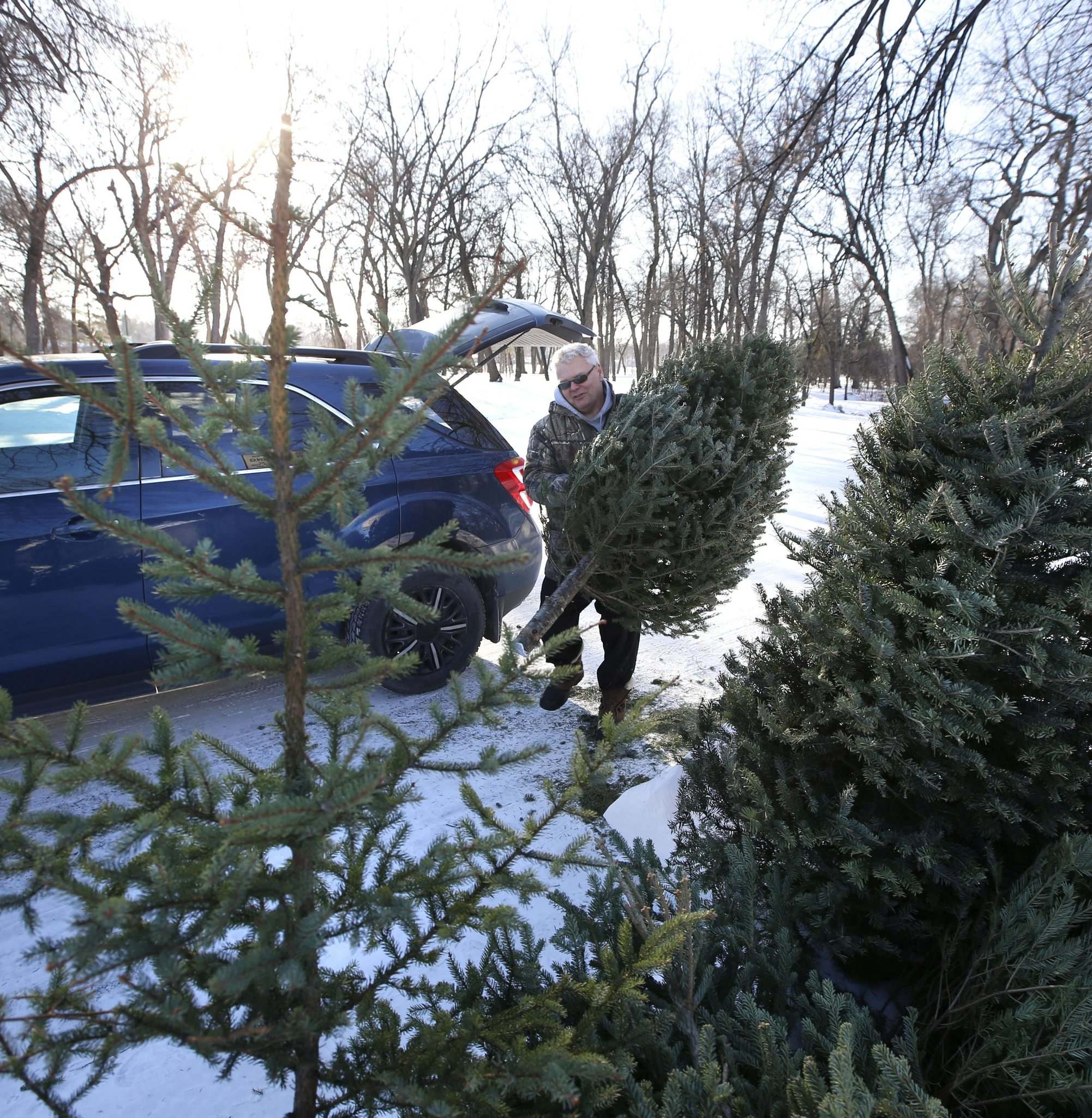 Free Christmas tree recycling depots open Winnipeg Free Press
