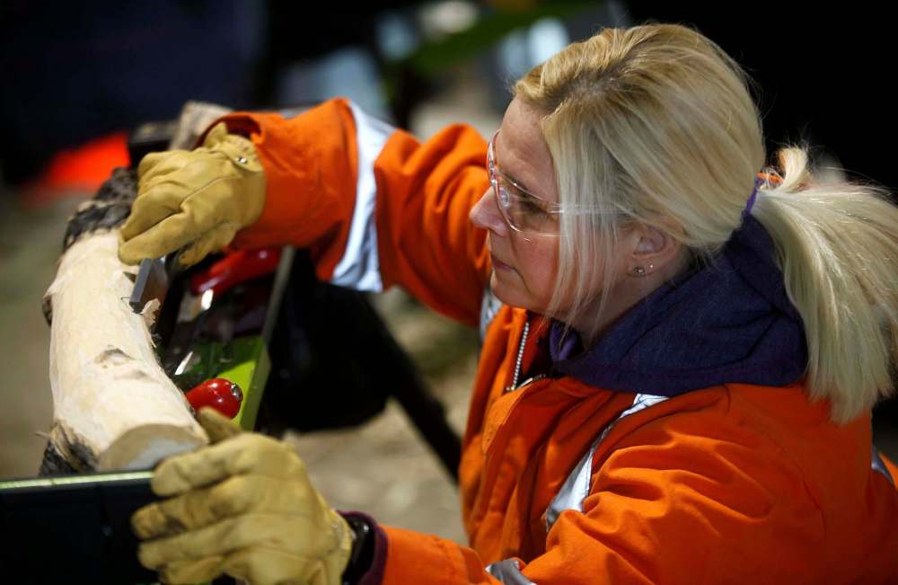 PHIL HOSSACK / Winnipeg Free Press
Janet Rosin chisels away wood from an ash tree branch around a suspected site of infestation by ash borer beetles. The city is doubling down on training to track the insect that could prove to be destructive to its urban forest.