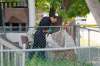 Winnipeg police investigate a murder at 375 Langside on Sunday, June 30, 2013. (John Woods / Winnipeg Free Press files)