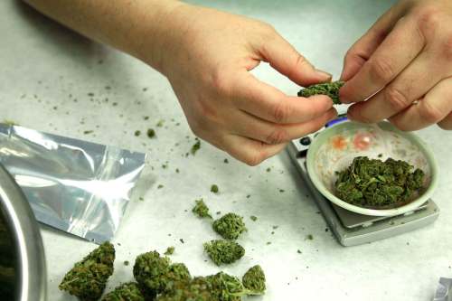 The estimated national average price for non-medical cannabis in 2017 was $7.43, compared to $8.18 for cannabis for medical purposes. (Ted S. Warren / The Associated Press files)