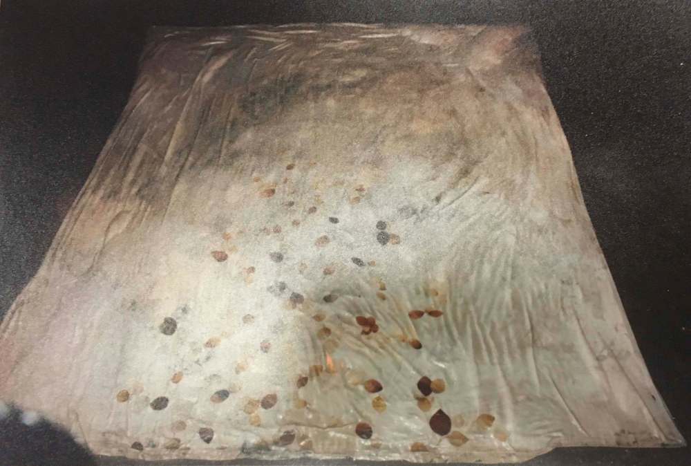 The duvet cover that Tina Fontaine's body was found in.