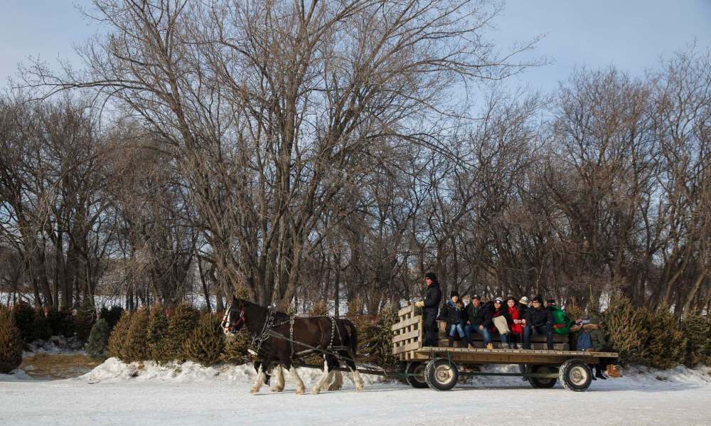 MIKE DEAL / WINNIPEG FREE PRESS
Festival goers enjoy a sleigh ride in Fort Gibraltar.