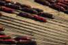 MIKE DEAL / WINNIPEG FREE PRESS FILES
Canadian Pacific train engines sit idle in the CP Arlington Yards in 2016.