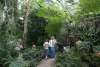 JOE BRYKSA / WINNIPEG FREE PRESS FILES
The Assinboine Park Conservatory has long been an indoor park for our winter city.