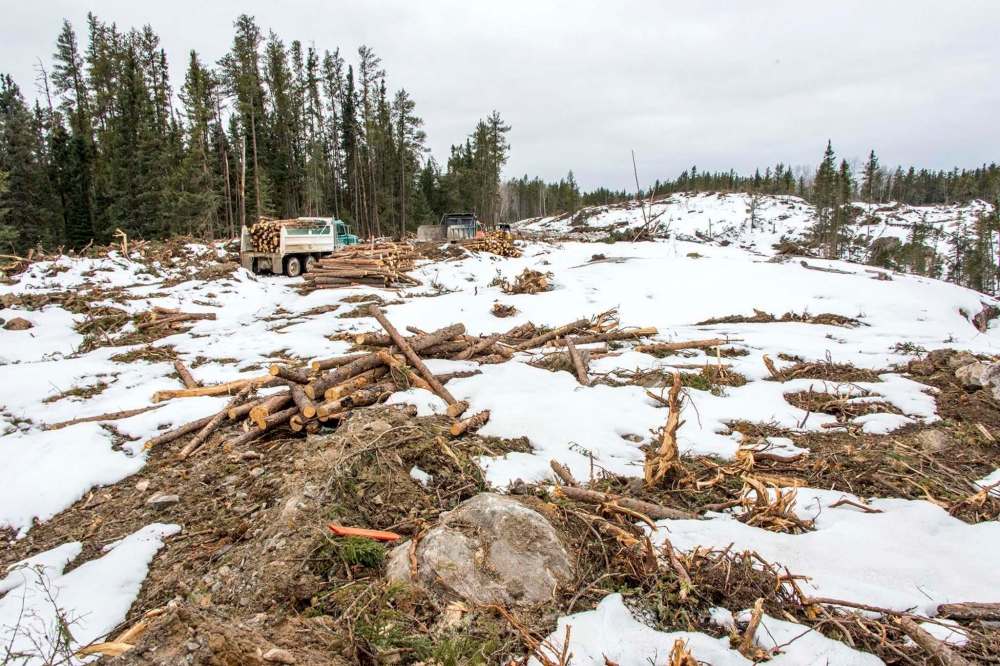 ERIC REDER PHOTO
The Wilderness Committee is critical of the provincial government allowing mining exploration in Nopiming Provincial Park, which is 200 kilometres northeast of Winnipeg.