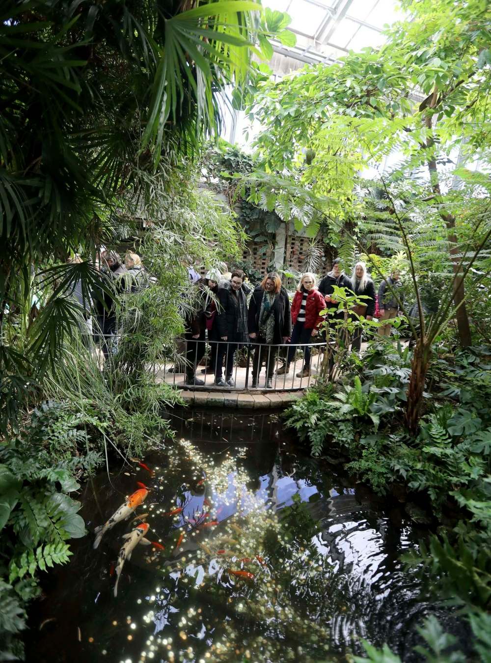 The conservatory was bustling Sunday.