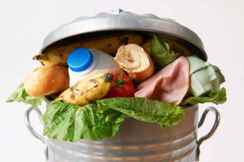 Dreamstime
Instead of tossing out surplus produce, consider making better use of your storage and freezer.