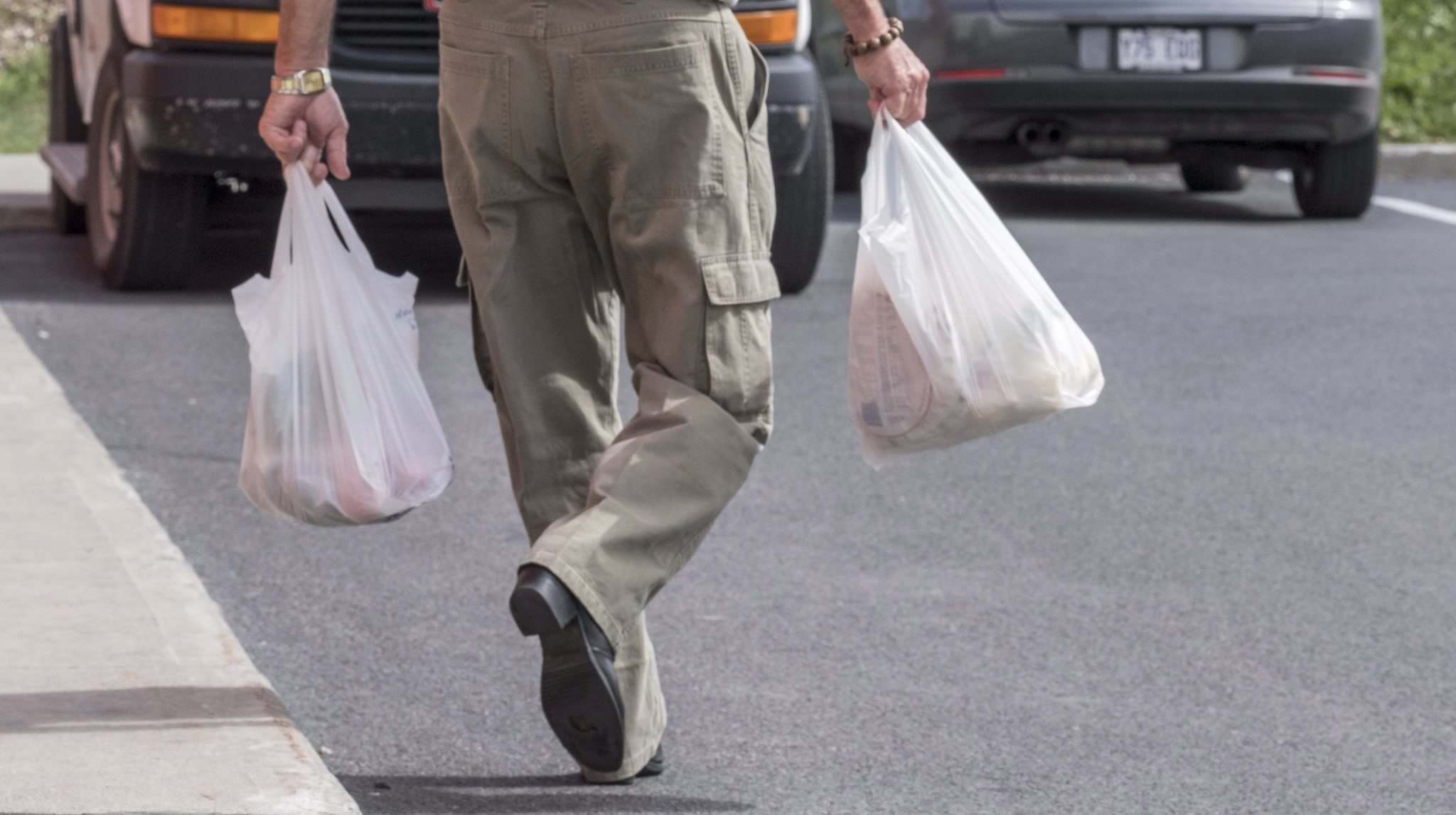 Plasticbag pollution problem Winnipeg Free Press