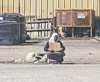 Muslims concerned about women begging outside Winnipeg mosque