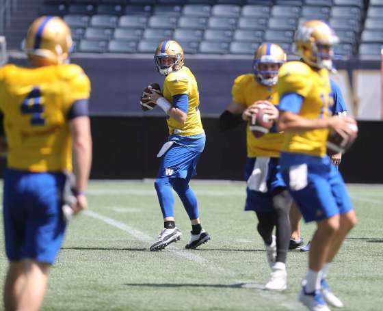 TREVOR HAGAN / WINNIPEG FREE PRESSNichols, it can be argued, is the only player on the team that is truly irreplaceable.