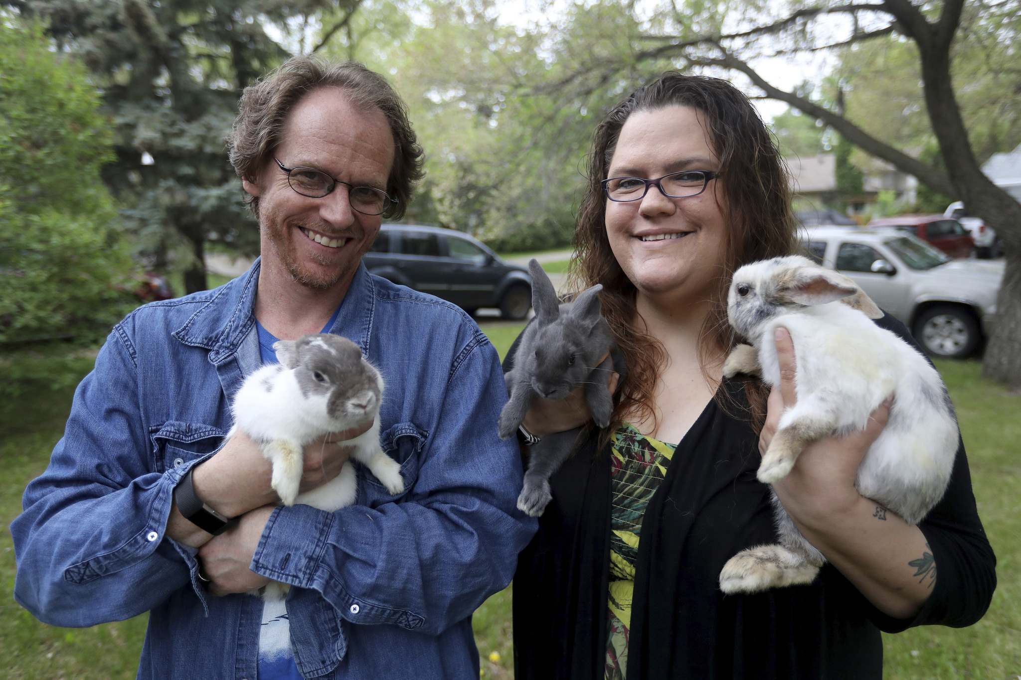 Rescuing rabbits no easy task Winnipeg Free Press