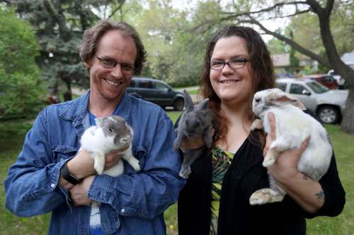 TREVOR HAGAN / WINNIPEG FREE PRESS
Jeff and Cindy Hildebrand, with rabbits, Alice, Mary Hoppins and Cinnabun.