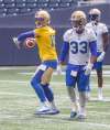 MIKE DEAL / WINNIPEG FREE PRESS
Winnipeg Blue Bombers quarterback Matt Nichols prepares to throw as running back Andrew Harris looks on during practice at Investors Group Field Wednesday.