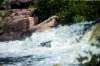 MIKAELA MACKENZIE / WINNIPEG FREE PRESS
The rapids at the old Pinawa dam area.