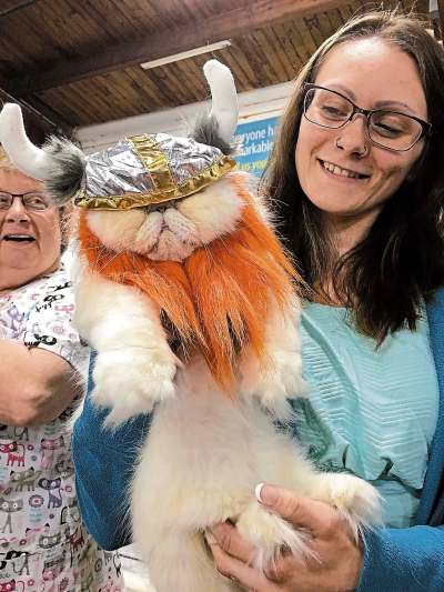 SUPPLIED
Brittney Maskewich&rsquo;s cat Leo looked dashing in a miniature-sized Viking costume.
