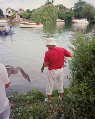 Tori Ferenc / The Washington Post
After being measured, weighed and checked for injuries, cygnets are released back into the river.