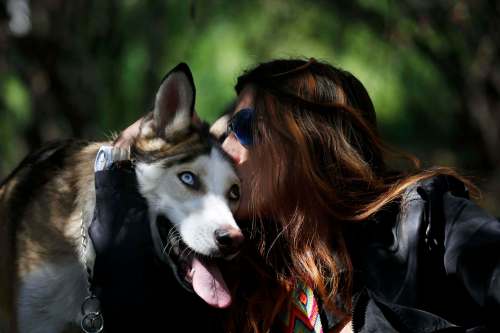 Marco Ugarte / The Associated Press files
There are few bonds stronger than the one between dog owners and their pets. Many owners wouldn&rsquo;t think twice about rushing into a burning building to save their animals.