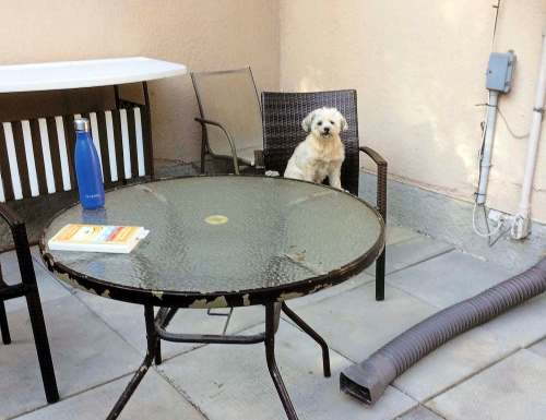 Supplied
Doug required the help of a ‘crackerjack&rsquo; building team to put together a deck that would make his wife happy.
