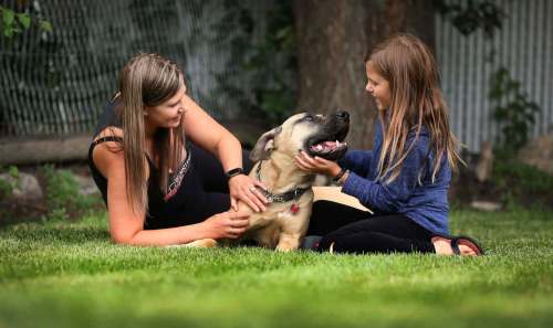 RUTH BONNEVILLE / WINNIPEG FREE PRESS
Storm&rsquo;s foster mom Misty Titterton says she&rsquo;s never seen Storm display any aggression and that he does well with other dogs and children, including her daughter.