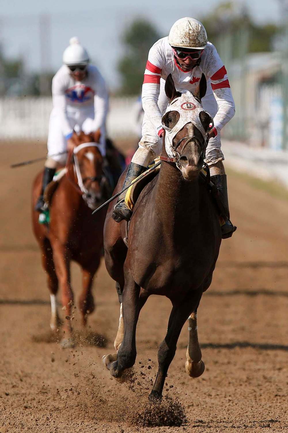 Sky Promise was claimed for $40,000 by Diodoro out of his last start at Churchill Downs. He now has one Derby win under his girth and he’s going after another. (John Woods / Winnipeg Free Press)