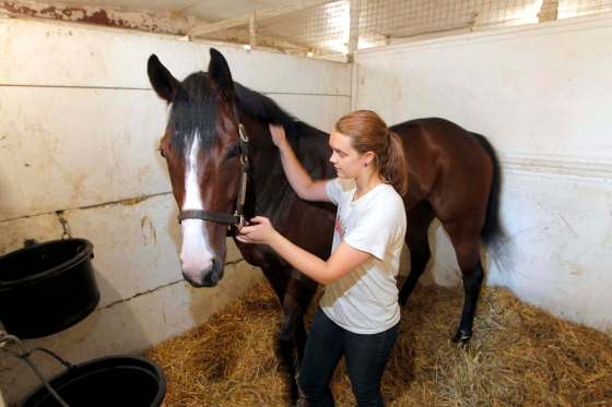 Horse groomer Rebecca Fentum-Jones has gone from being in a coma with life-threatening head trauma eight weeks ago to walking with assistance and speaking in a whisper. (Boris Minkevich / Winnipeg Free Press Files)