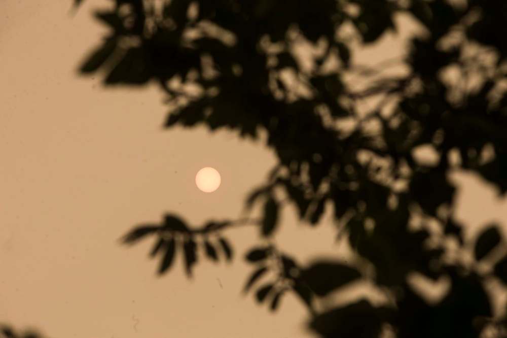 The sun had a hard time being noticed in the sky Thursday. (MIKAELA MACKENZIE / WINNIPEG FREE PRESS)