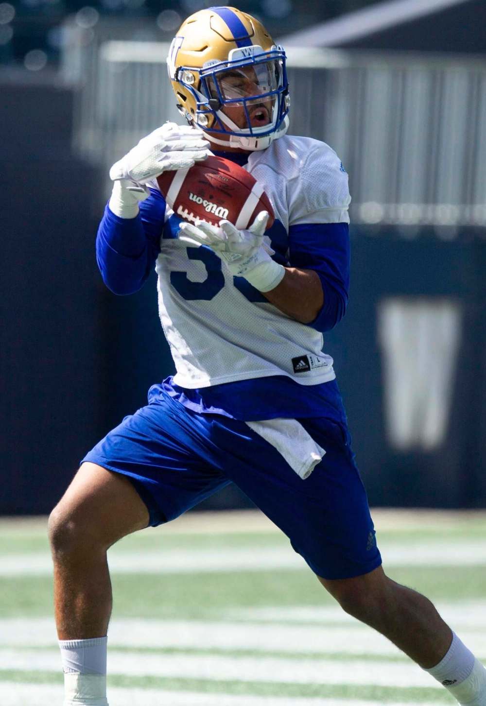ANDREW RYAN / WINNIPEG FREE PRESS FILES
Winnipeg Blue Bombers running back Andrew Harris
