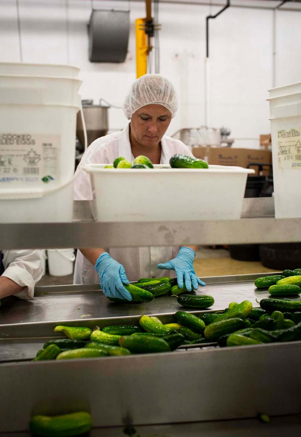ANDREW RYAN / WINNIPEG FREE PRESS
Heather Clark inspects a cucumber before being prepared to be pickled at Krause at Elman’s Food Products.