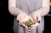 MIKAELA MACKENZIE / WINNIPEG FREE PRESS
A cannabis dealer shows off her product in Winnipeg on Saturday, Oct. 13, 2018.
Winnipeg Free Press 2018.