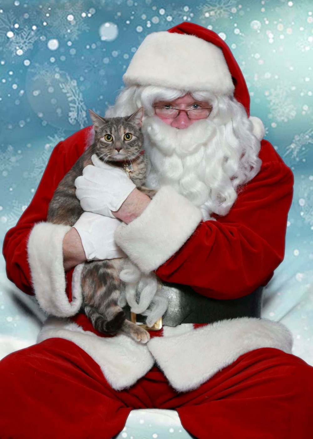 FRANK ADAM PHOTO
Santa, as portrayed by Free Press columnist Doug Speirs, takes part in Santa Paws, a fundraiser for the Winnipeg Humane Society.