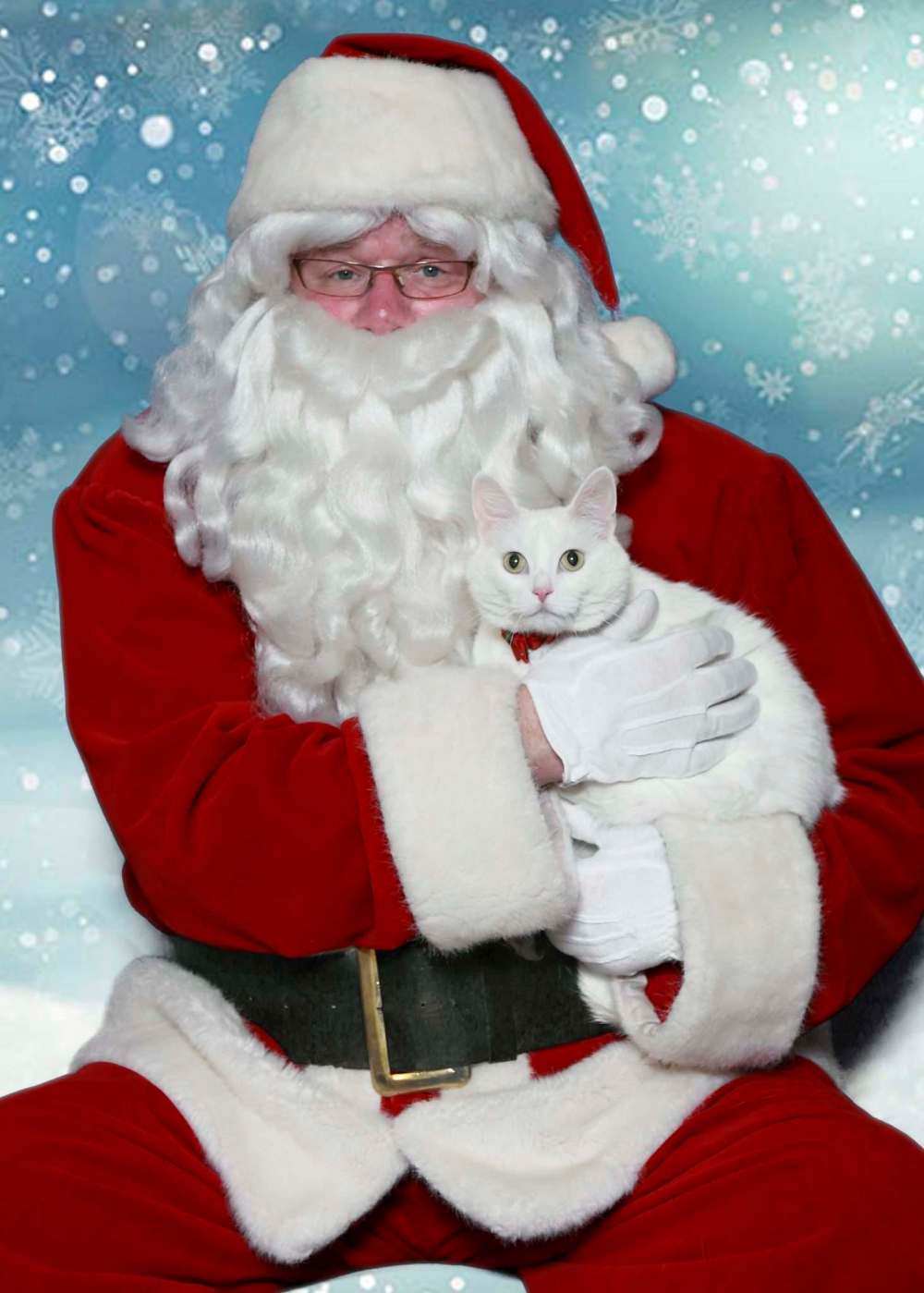 FRANK ADAM PHOTO
Santa, as portrayed by Free Press columnist Doug Speirs, takes part in Santa Paws, a fundraiser for the Winnipeg Humane Society.