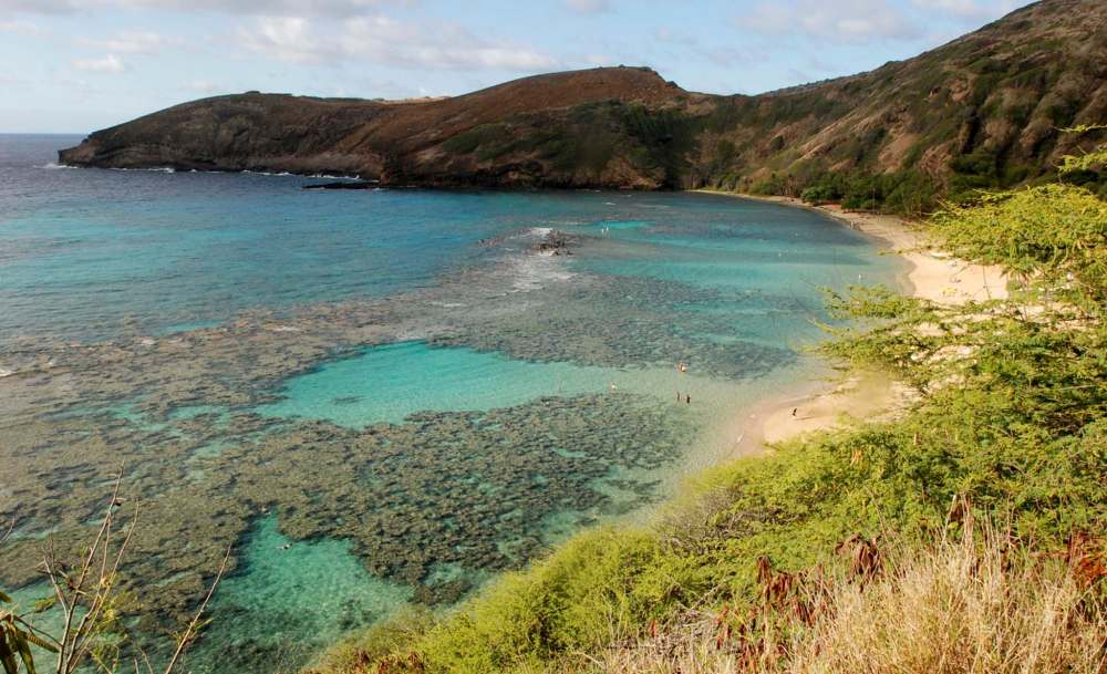 The Convention on Biological Diversity commits all nations to conserve 17 per cent of terrestrial and 10 per cent of marine areas by 2020. (Caleb Jones / The Assocaited Press files)