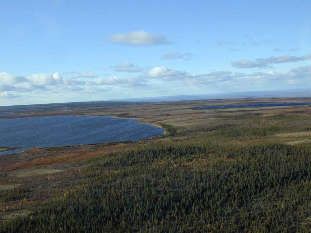The federal government recently agreed to the first Indigenous-governed conservation area, the Edéhzhíe Protected Area with the Dehcho First Nations in the Northwest Territories. (Bill Carpenter / The Canadian Press files)