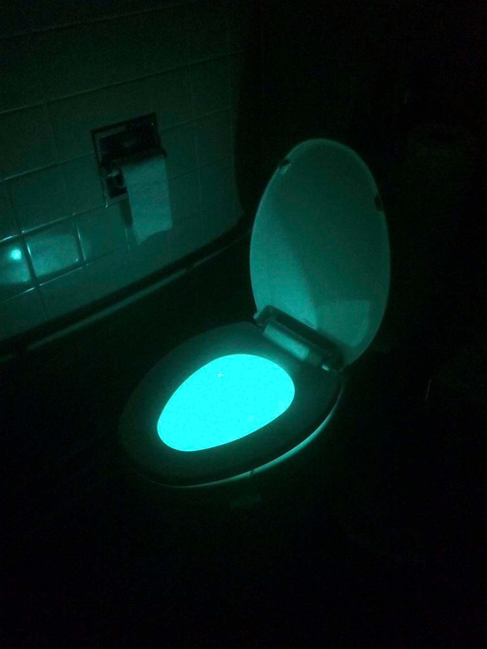Motion-activated night lights transformed Doug's toilet into a 1970s-style disco ball.