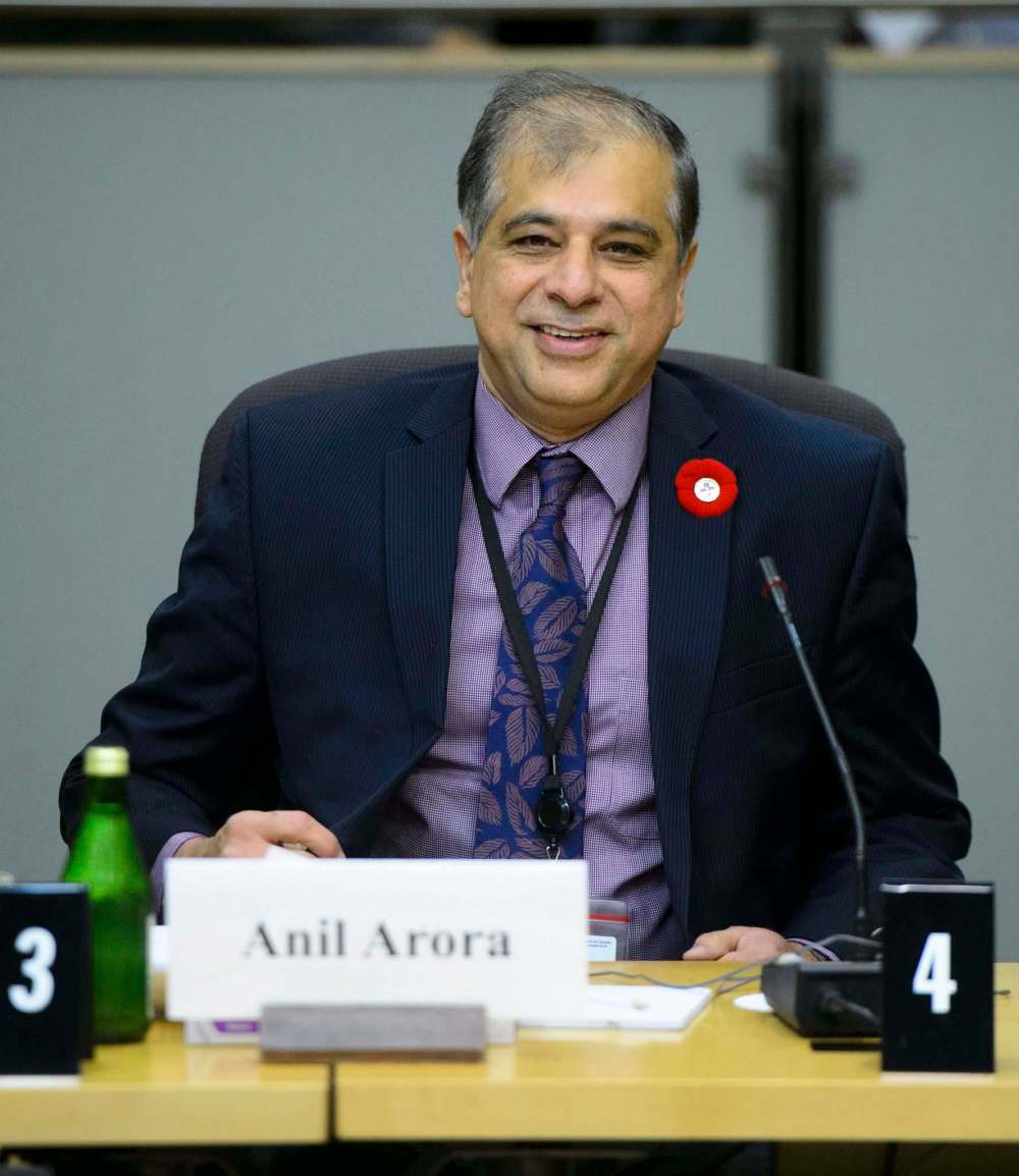 Sean Kilpatrick / The Canadian Press Files
Statistics Canada’s chief statistician, Anil Arora.