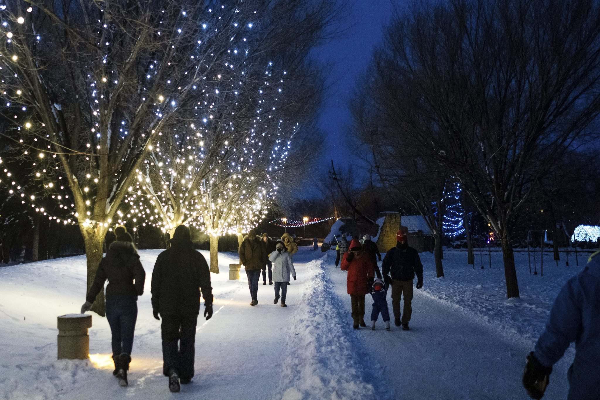 Embracing winter in true Winnipeg style Winnipeg Free Press