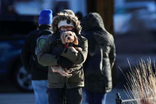 Jose M. Osorio / Chicago Tribune files
A man holds a dog as they enter a building in Chicago on a cold and frigid morning.